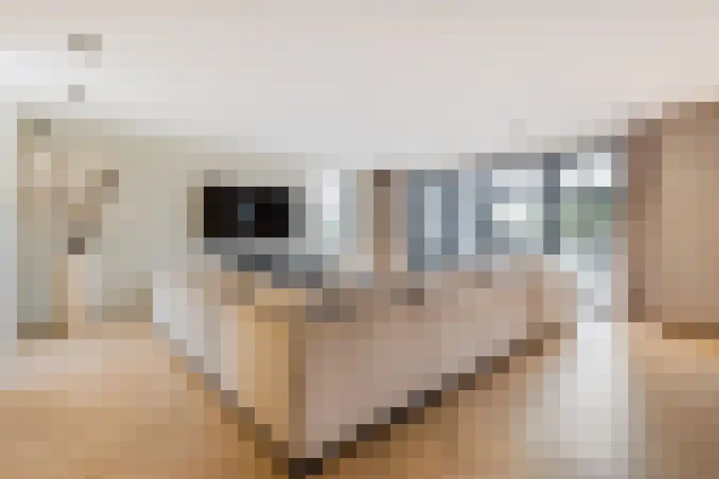 Zwanenburgerdijk 29 Vijfhuizen thumbnail 8