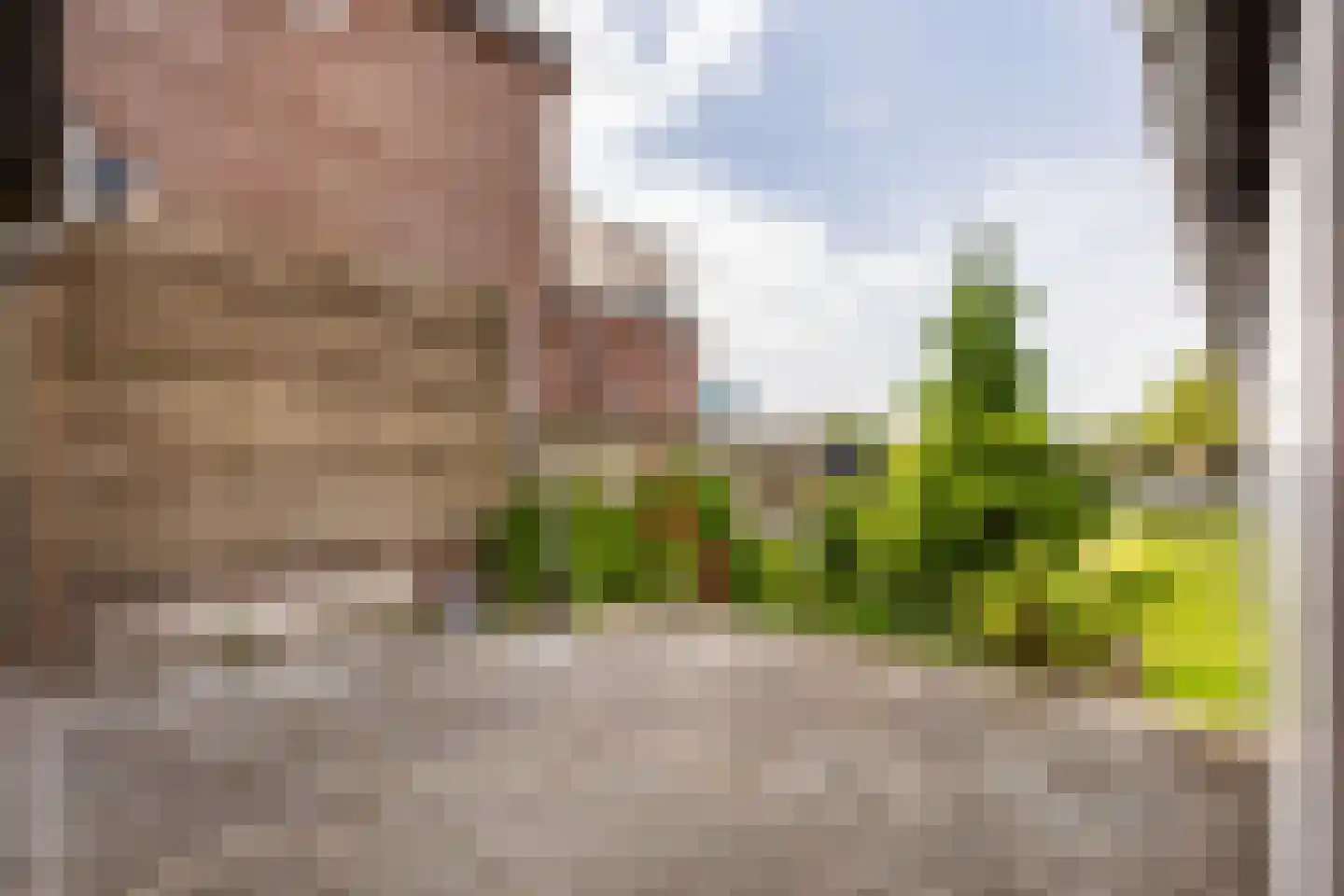Zwanenburgerdijk 390 Zwanenburg thumbnail 20