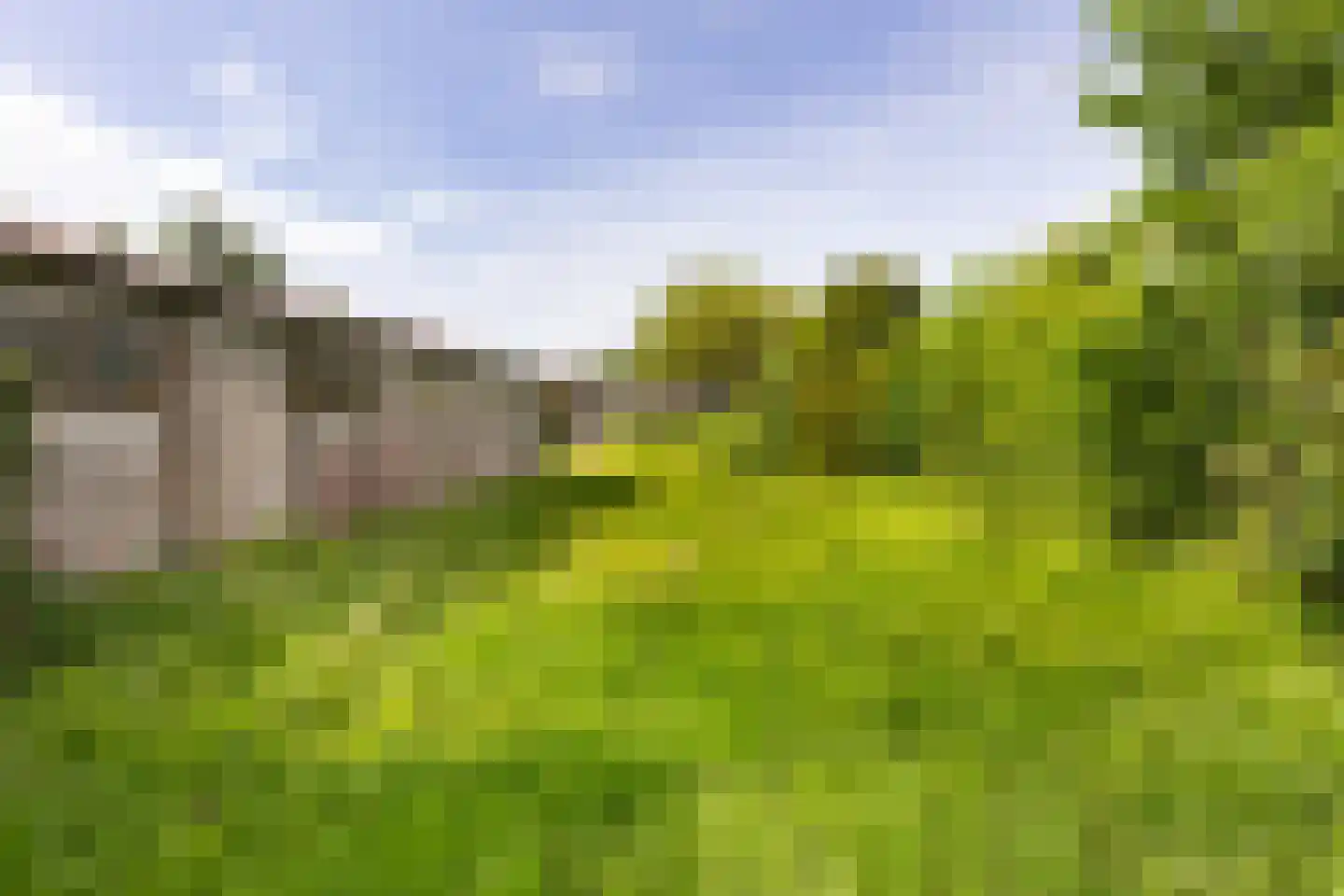 Zwanenburgerdijk 390 Zwanenburg thumbnail 22