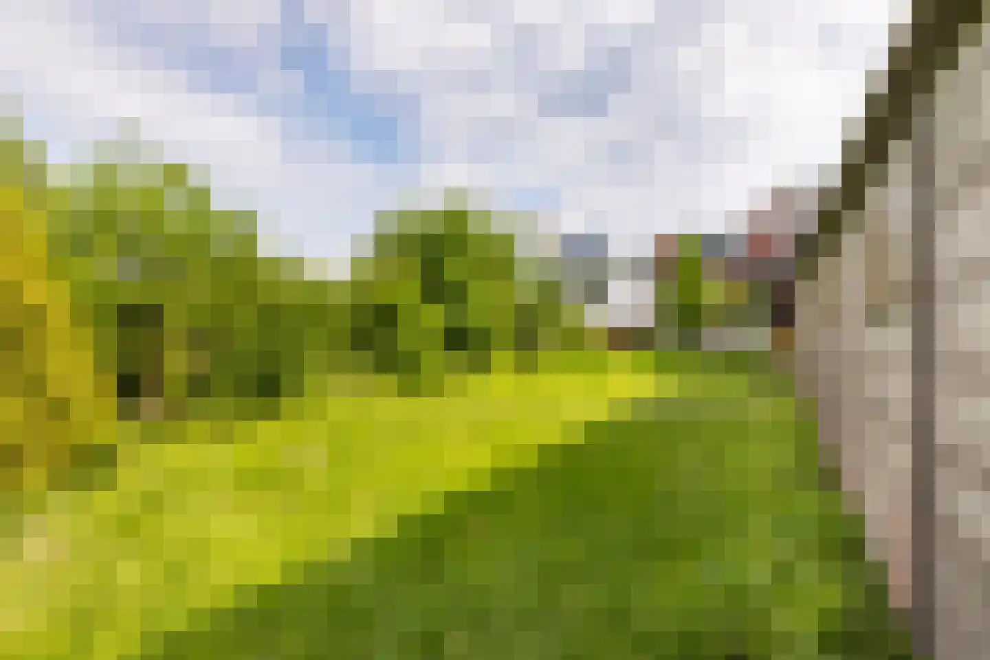 Zwanenburgerdijk 390 Zwanenburg thumbnail 23