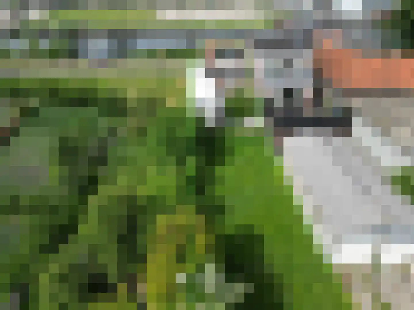 Zwanenburgerdijk 390 Zwanenburg thumbnail 5