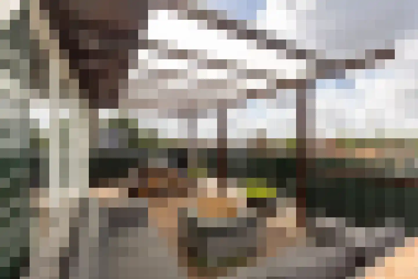 Zwanenburgerdijk 404 Zwanenburg thumbnail 11