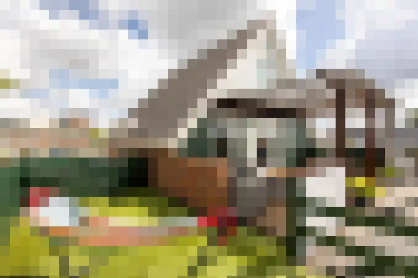 Zwanenburgerdijk 404 Zwanenburg thumbnail 12