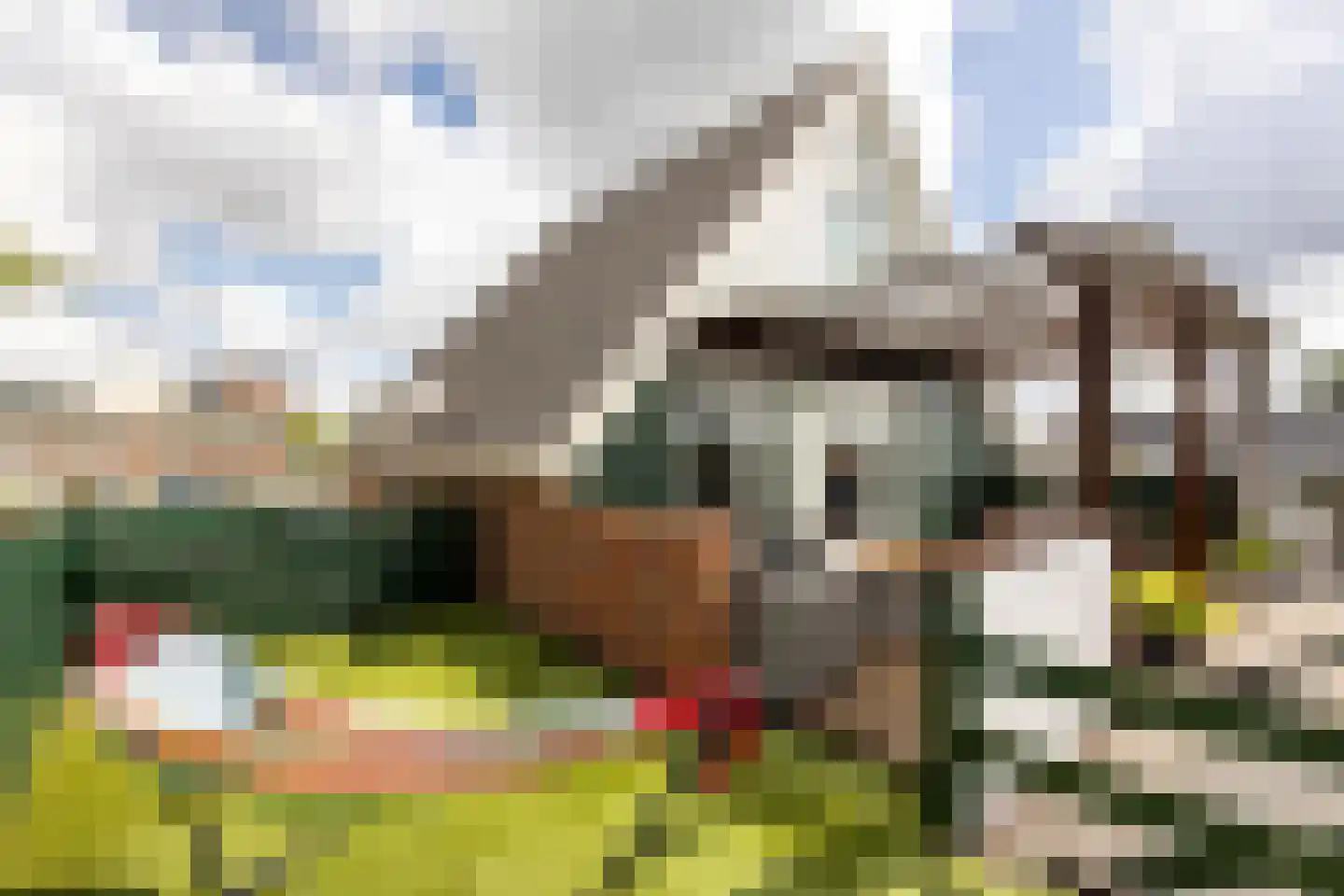 Zwanenburgerdijk 404 Zwanenburg thumbnail 14