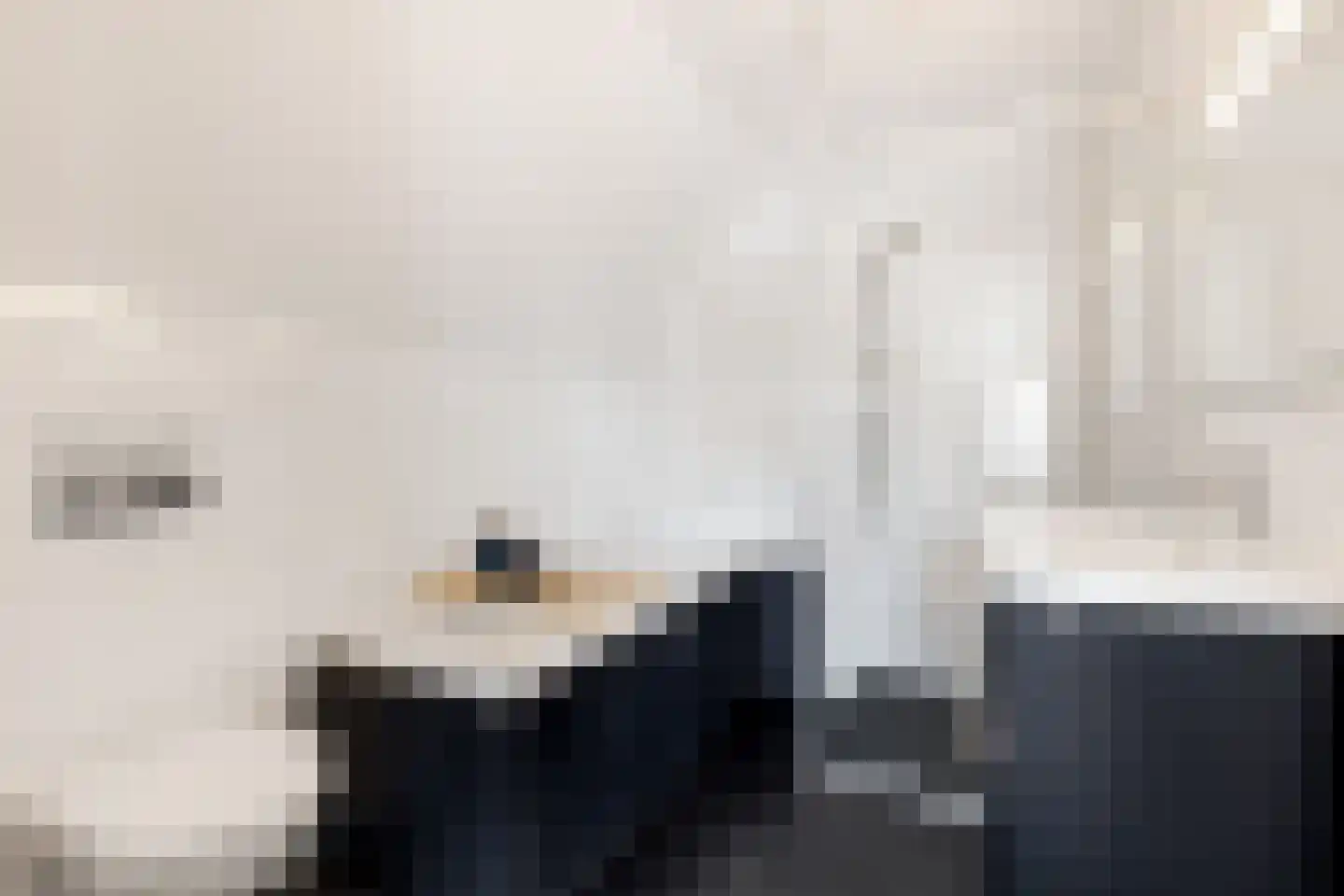 Zwanenburgerdijk 404 Zwanenburg thumbnail 19