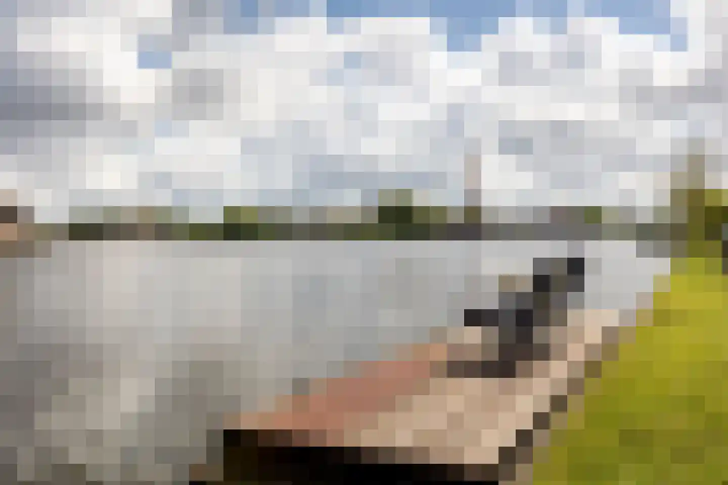 Zwanenburgerdijk 404 Zwanenburg thumbnail 4