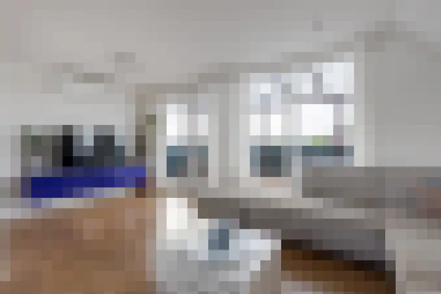 Zwanenburgerdijk 404 Zwanenburg thumbnail 7