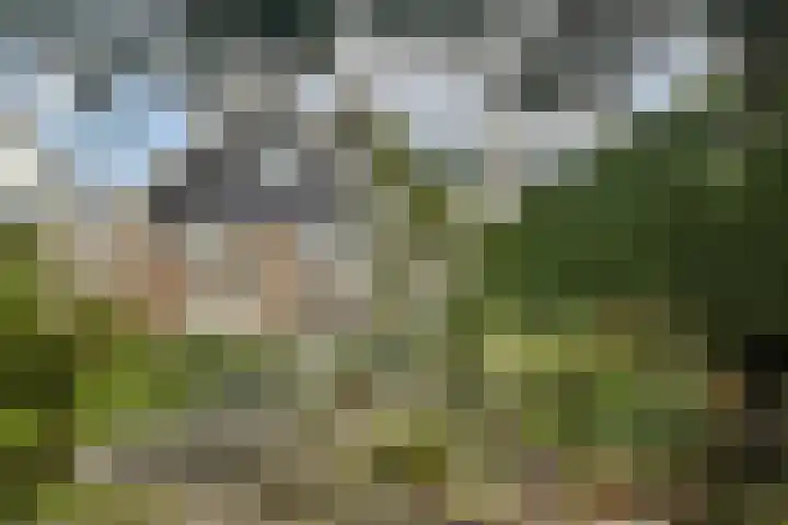 Zwanenburgerdijk 429 Zwanenburg thumbnail 4