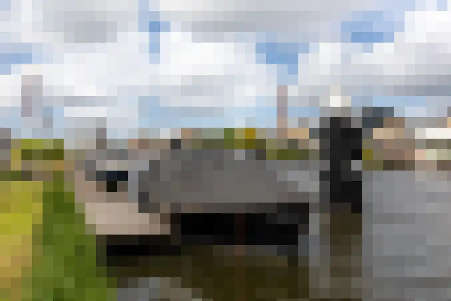 Zwanenburgerdijk 459 Zwanenburg thumbnail 36
