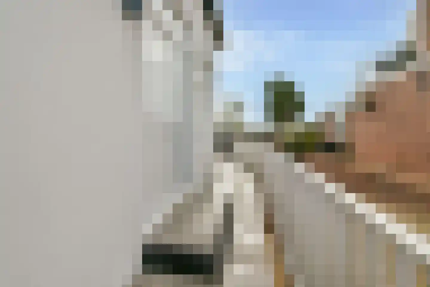 Zwanenburgerdijk 466 Zwanenburg thumbnail 43
