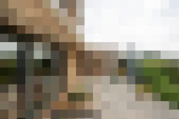 Zwanenburgerdijk 498 Zwanenburg thumbnail 17
