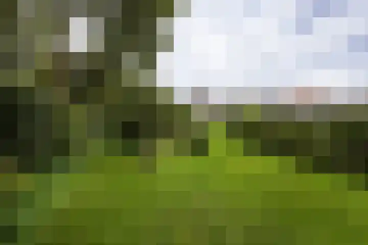 Zwanenburgerdijk 498 Zwanenburg thumbnail 23