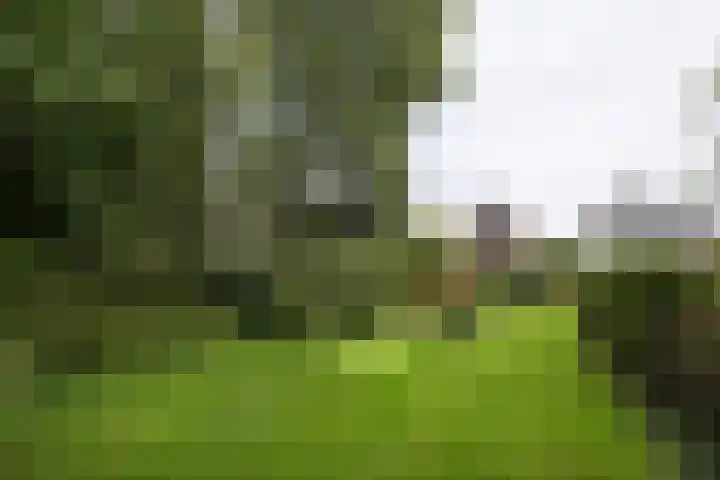 Zwanenburgerdijk 498 Zwanenburg thumbnail 25