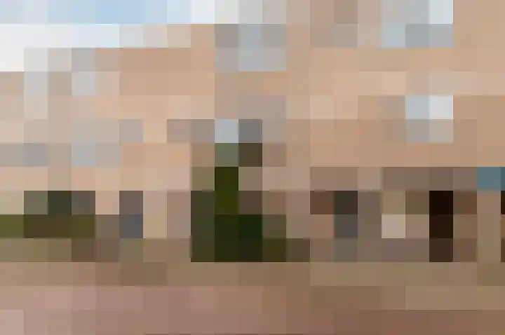 Zwanenburgplantsoen 22 Haarlem thumbnail 30