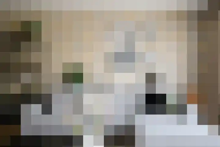 Zwanendaal 13 Nieuwerkerk aan den IJssel thumbnail 10