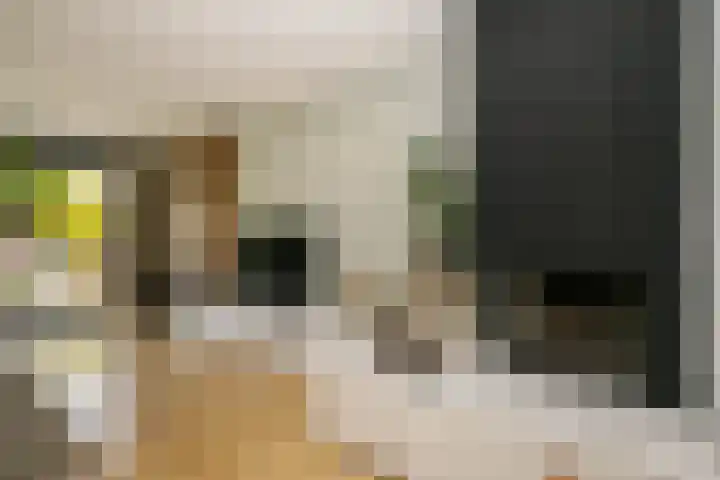 Zwanendaal 13 Nieuwerkerk aan den IJssel thumbnail 12