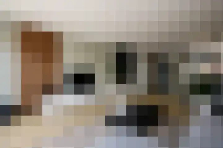 Zwanendaal 13 Nieuwerkerk aan den IJssel thumbnail 13