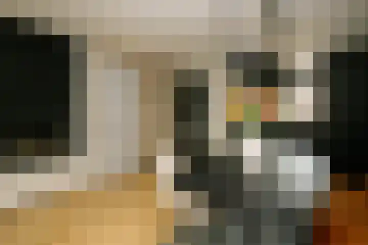 Zwanendaal 13 Nieuwerkerk aan den IJssel thumbnail 14