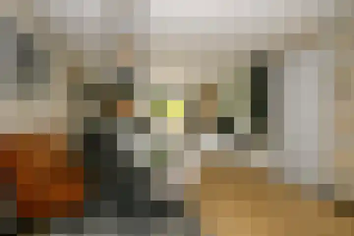Zwanendaal 13 Nieuwerkerk aan den IJssel thumbnail 16