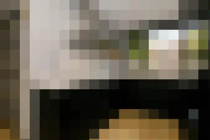 Zwanendaal 13 Nieuwerkerk aan den IJssel thumbnail 17