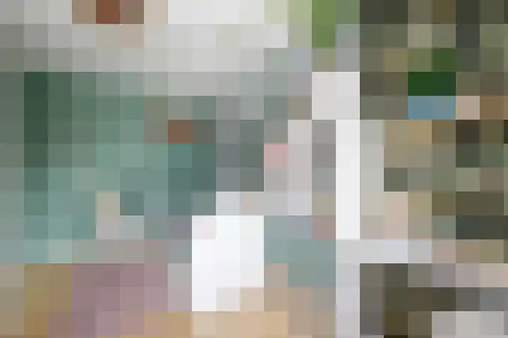 Zwanendaal 13 Nieuwerkerk aan den IJssel thumbnail 20
