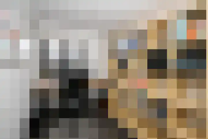 Zwanendaal 13 Nieuwerkerk aan den IJssel thumbnail 22