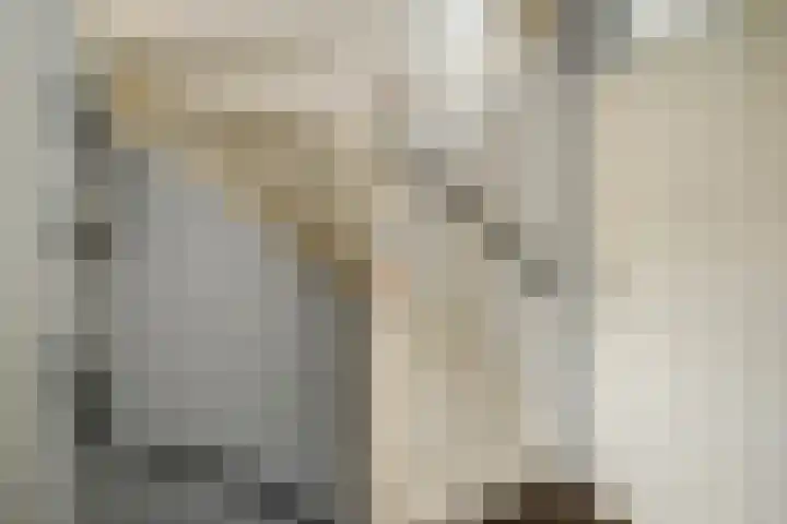 Zwanendaal 13 Nieuwerkerk aan den IJssel thumbnail 25