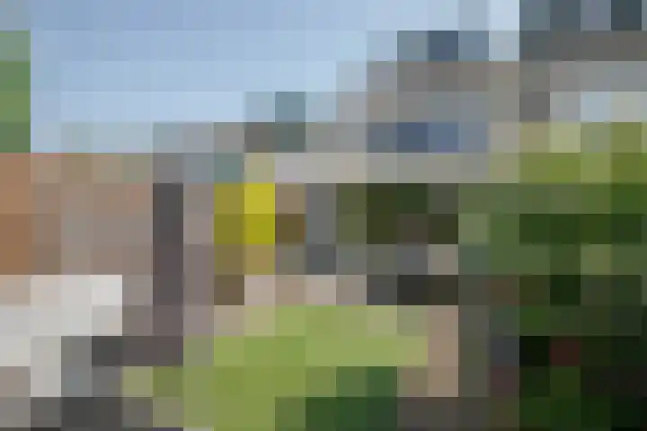 Zwanendaal 13 Nieuwerkerk aan den IJssel thumbnail 31