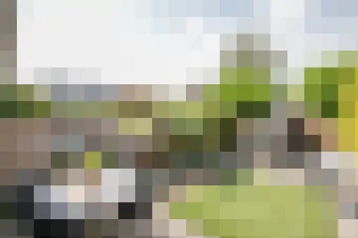 Zwanendaal 13 Nieuwerkerk aan den IJssel thumbnail 32