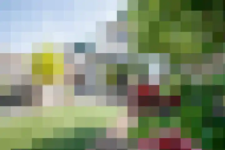 Zwanendaal 13 Nieuwerkerk aan den IJssel thumbnail 33