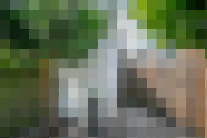 Zwanendaal 13 Nieuwerkerk aan den IJssel thumbnail 34