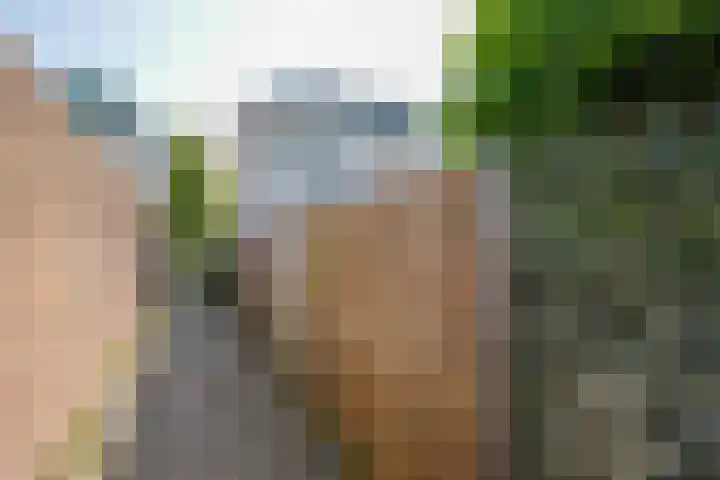 Zwanendaal 13 Nieuwerkerk aan den IJssel thumbnail 35