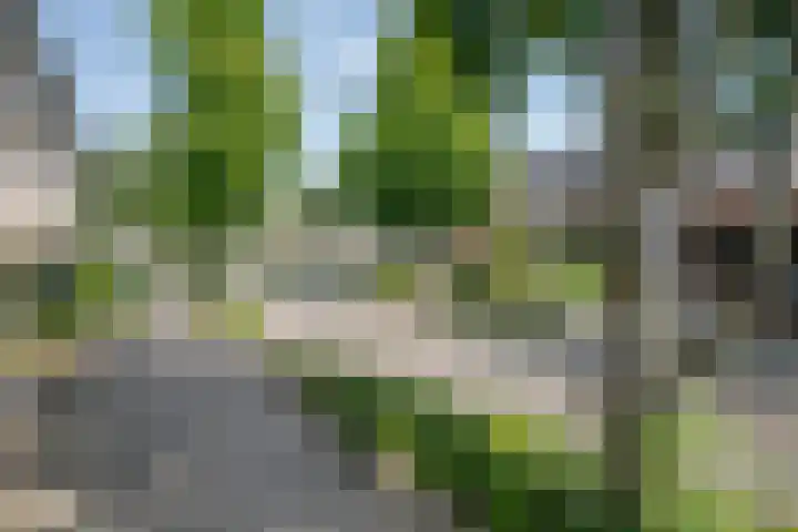 Zwanendaal 13 Nieuwerkerk aan den IJssel thumbnail 36