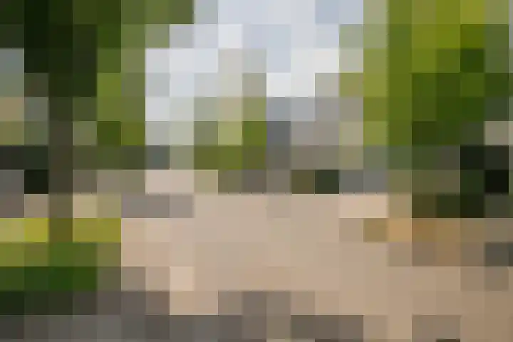 Zwanendaal 13 Nieuwerkerk aan den IJssel thumbnail 39
