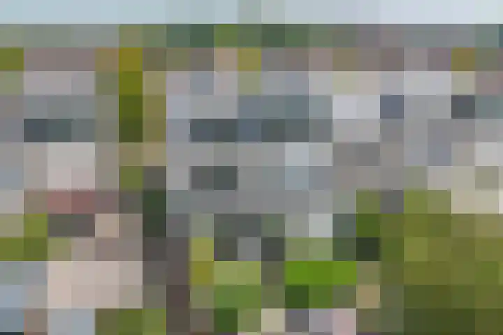 Zwanendaal 13 Nieuwerkerk aan den IJssel thumbnail 40