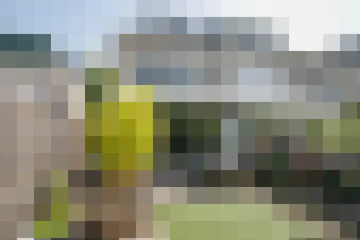 Zwanendaal 13 Nieuwerkerk aan den IJssel thumbnail 48