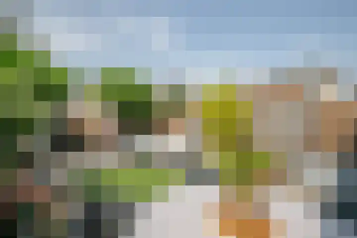 Zwanendaal 13 Nieuwerkerk aan den IJssel thumbnail 5