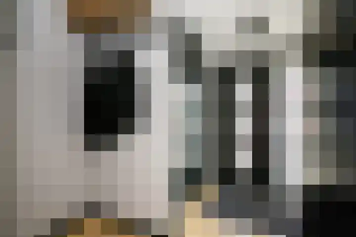 Zwanendaal 13 Nieuwerkerk aan den IJssel thumbnail 7