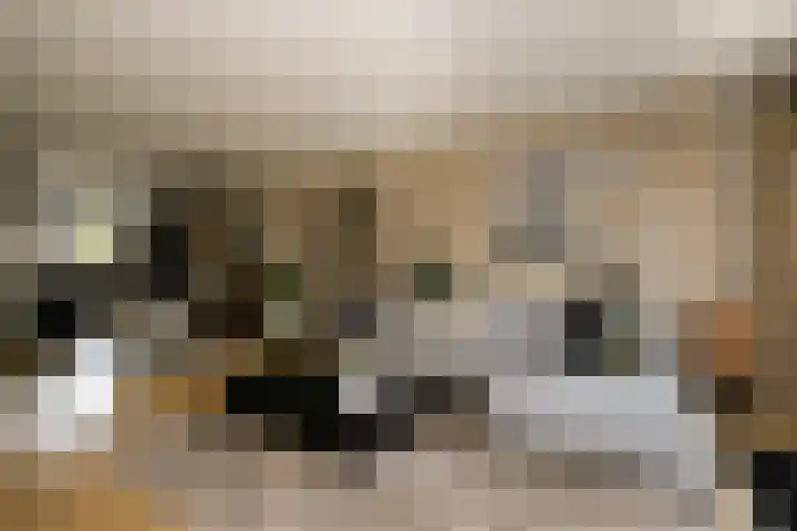 Zwanendaal 13 Nieuwerkerk aan den IJssel thumbnail 8