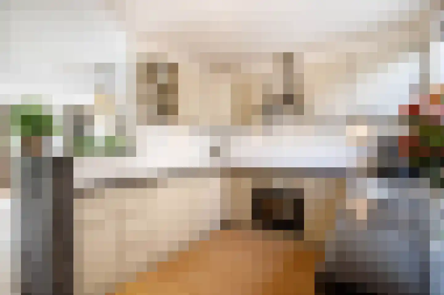 Zwanendaal 21 Nieuwerkerk aan den IJssel thumbnail 13