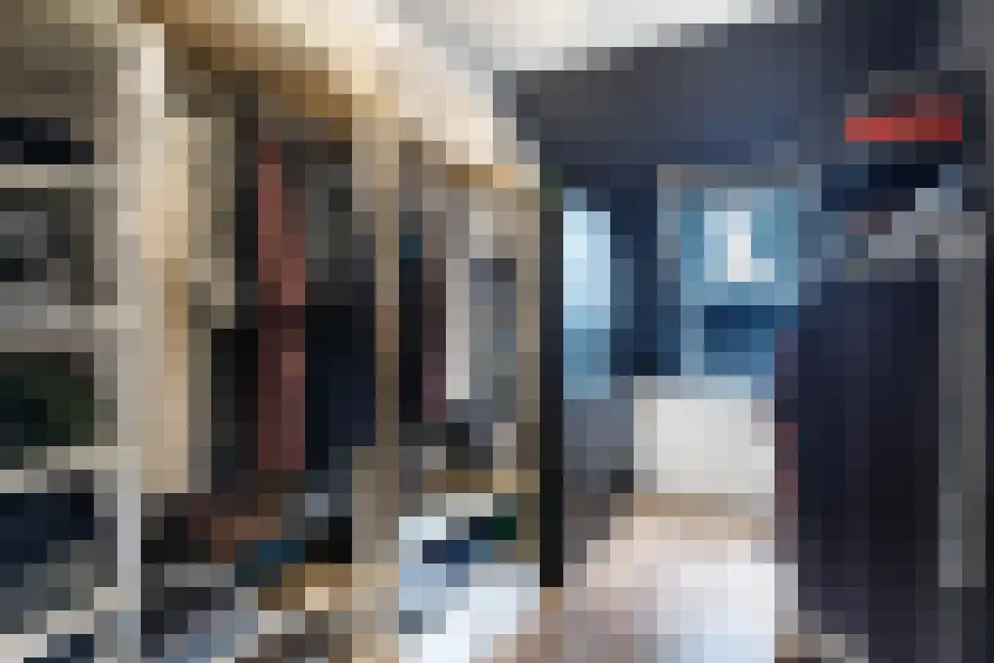 Zwanendaal 21 Nieuwerkerk aan den IJssel thumbnail 20