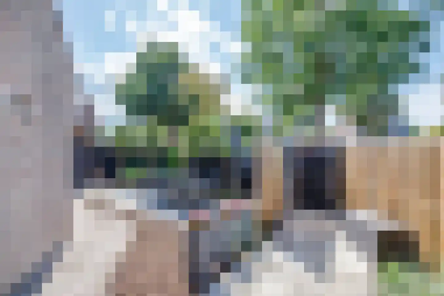 Zwanendaal 21 Nieuwerkerk aan den IJssel thumbnail 30