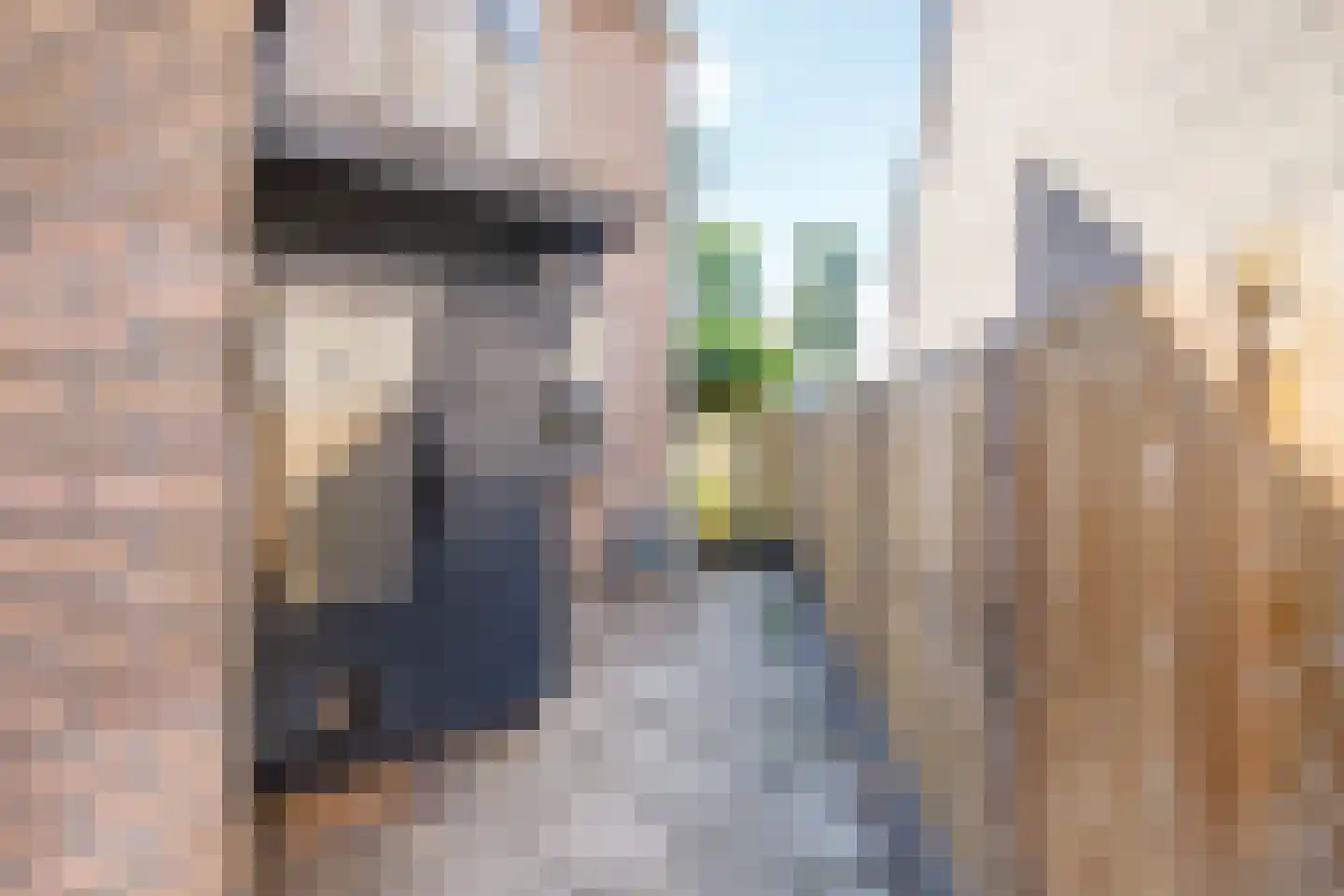 Zwanendaal 21 Nieuwerkerk aan den IJssel thumbnail 32