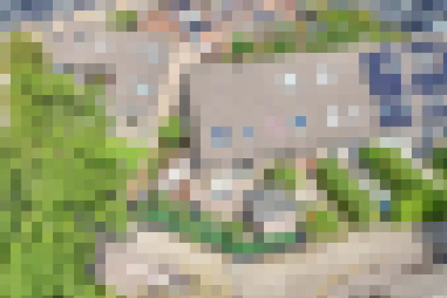 Zwanendaal 21 Nieuwerkerk aan den IJssel thumbnail 34