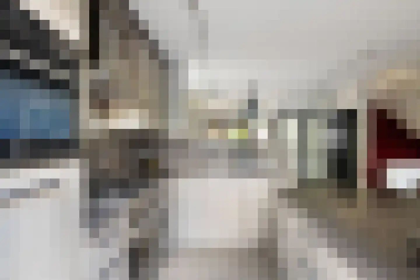 Zwanendaal 3 Nieuwerkerk aan den IJssel thumbnail 12