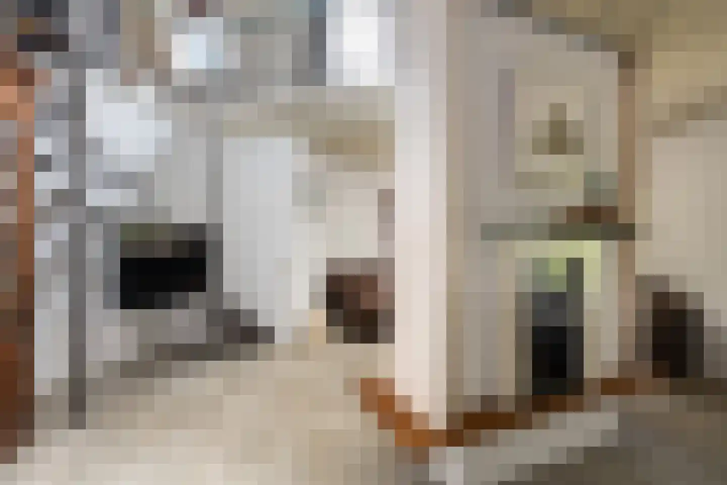 Zwanendaal 3 Nieuwerkerk aan den IJssel thumbnail 13