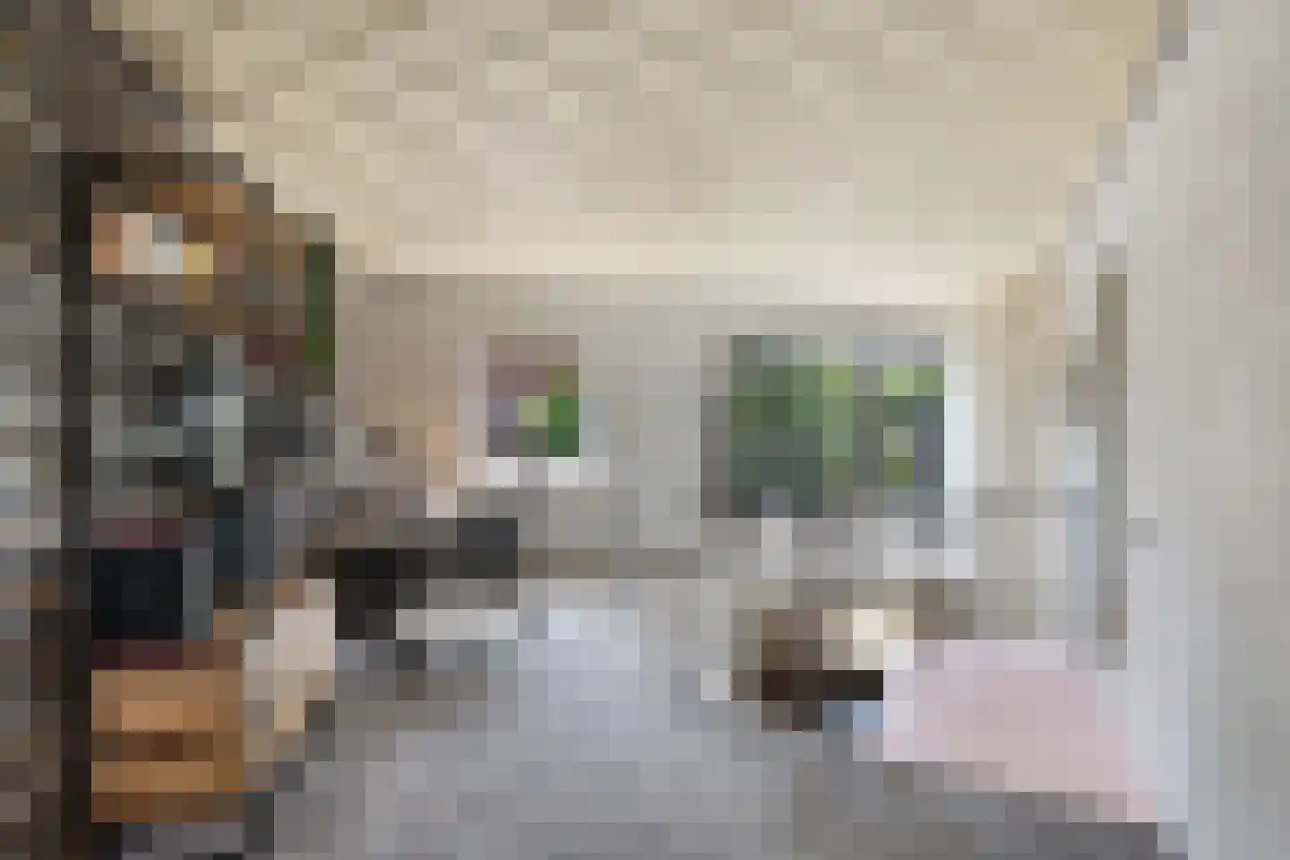 Zwanendaal 3 Nieuwerkerk aan den IJssel thumbnail 14