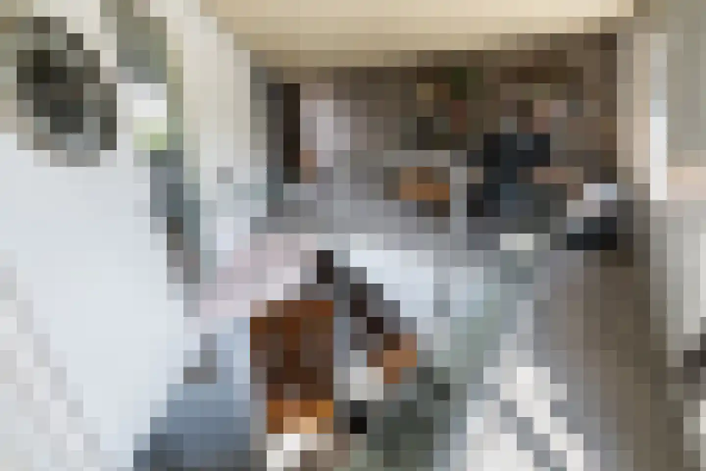 Zwanendaal 3 Nieuwerkerk aan den IJssel thumbnail 15