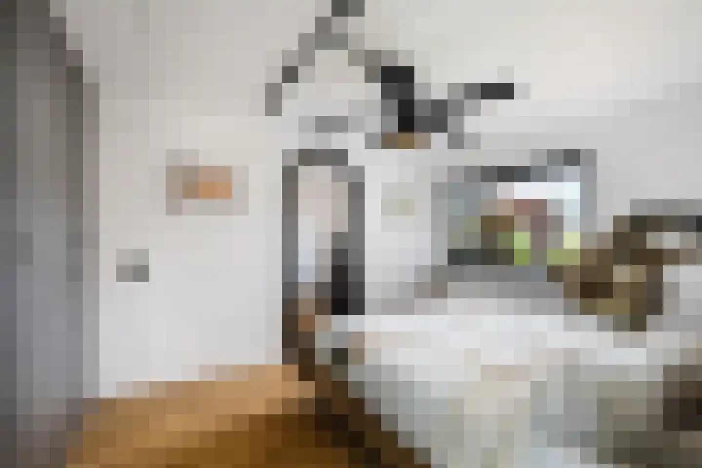 Zwanendaal 3 Nieuwerkerk aan den IJssel thumbnail 16