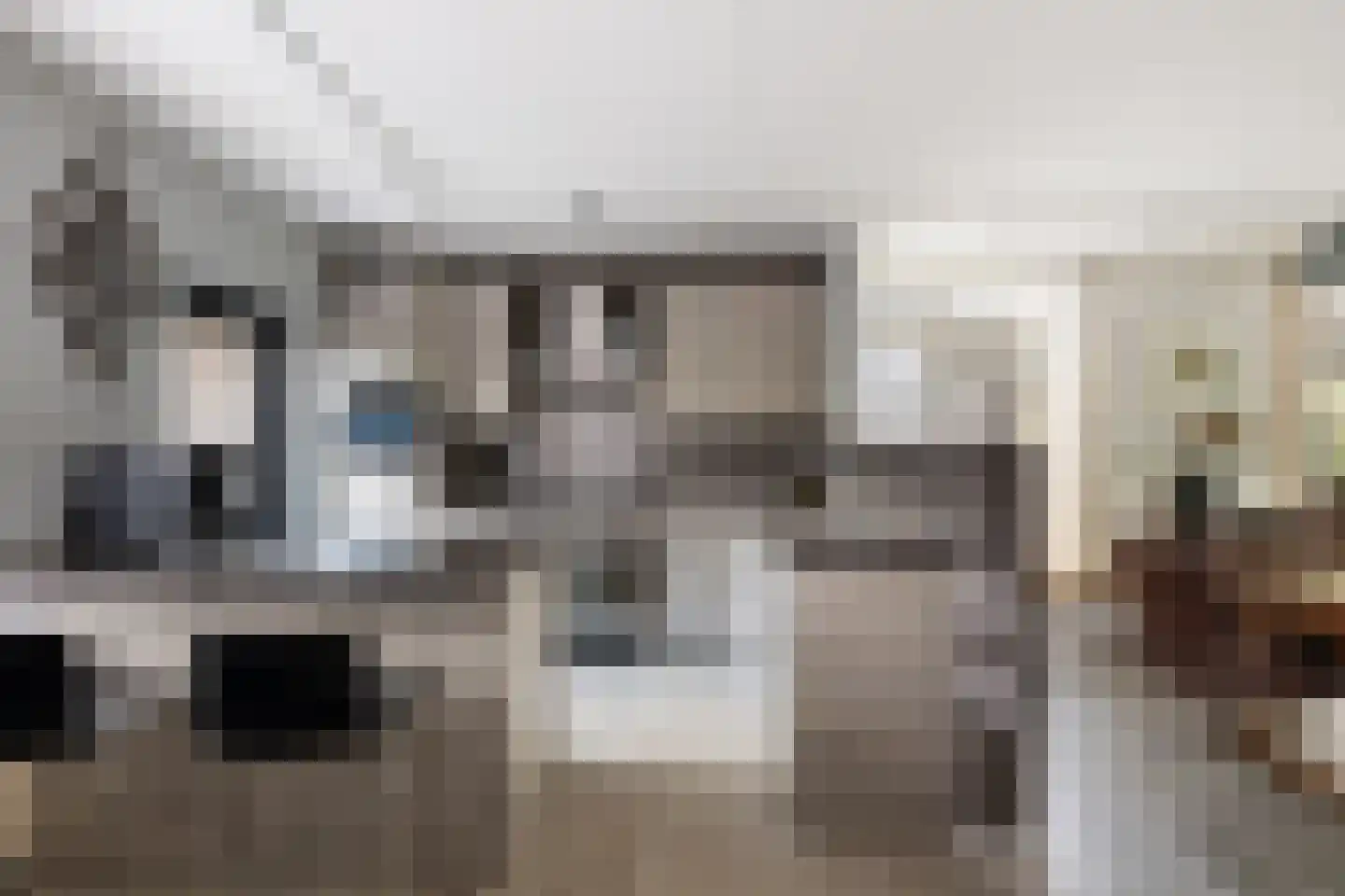 Zwanendaal 3 Nieuwerkerk aan den IJssel thumbnail 4